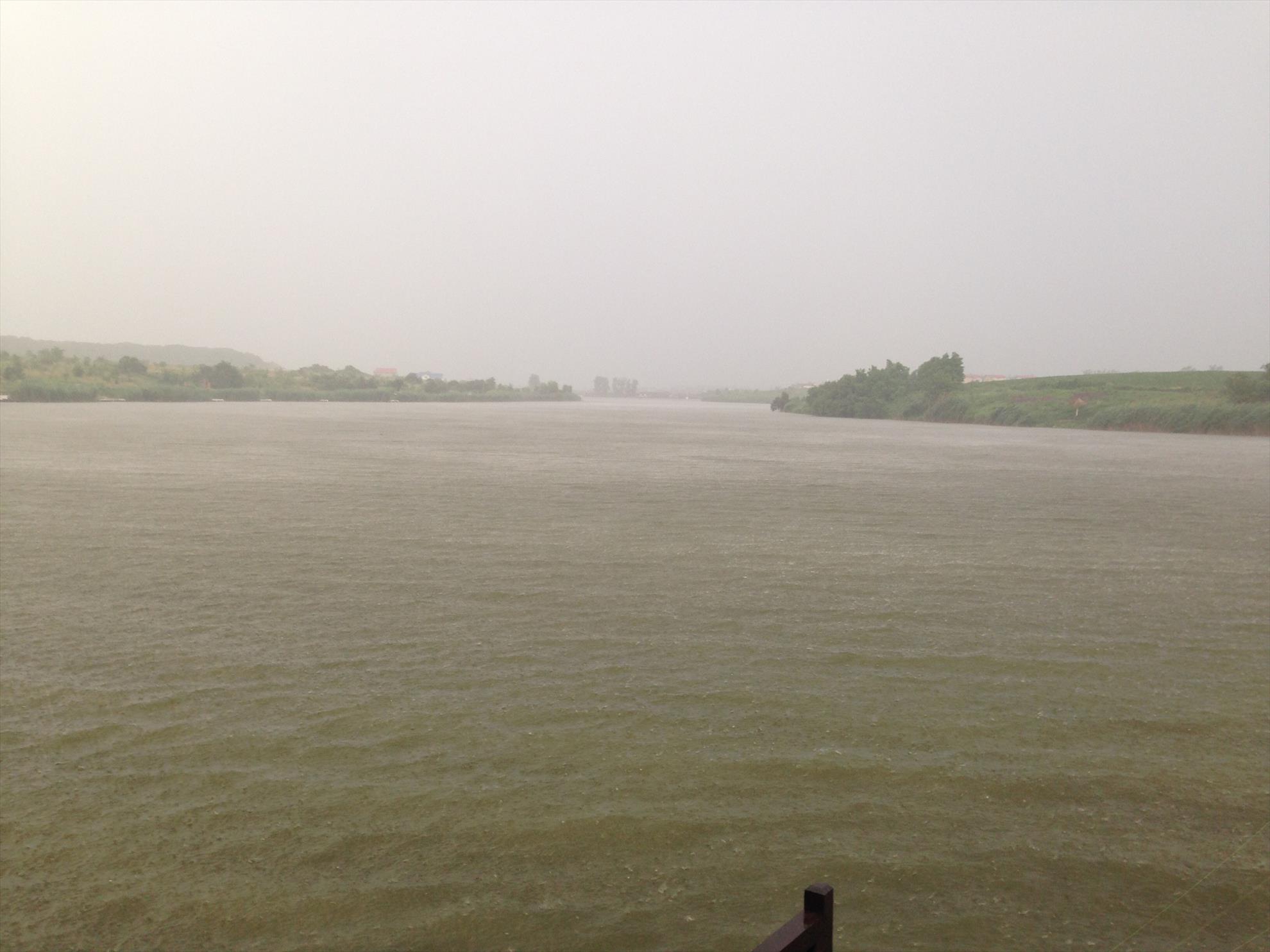 De pe balta adunate - image11.jpg